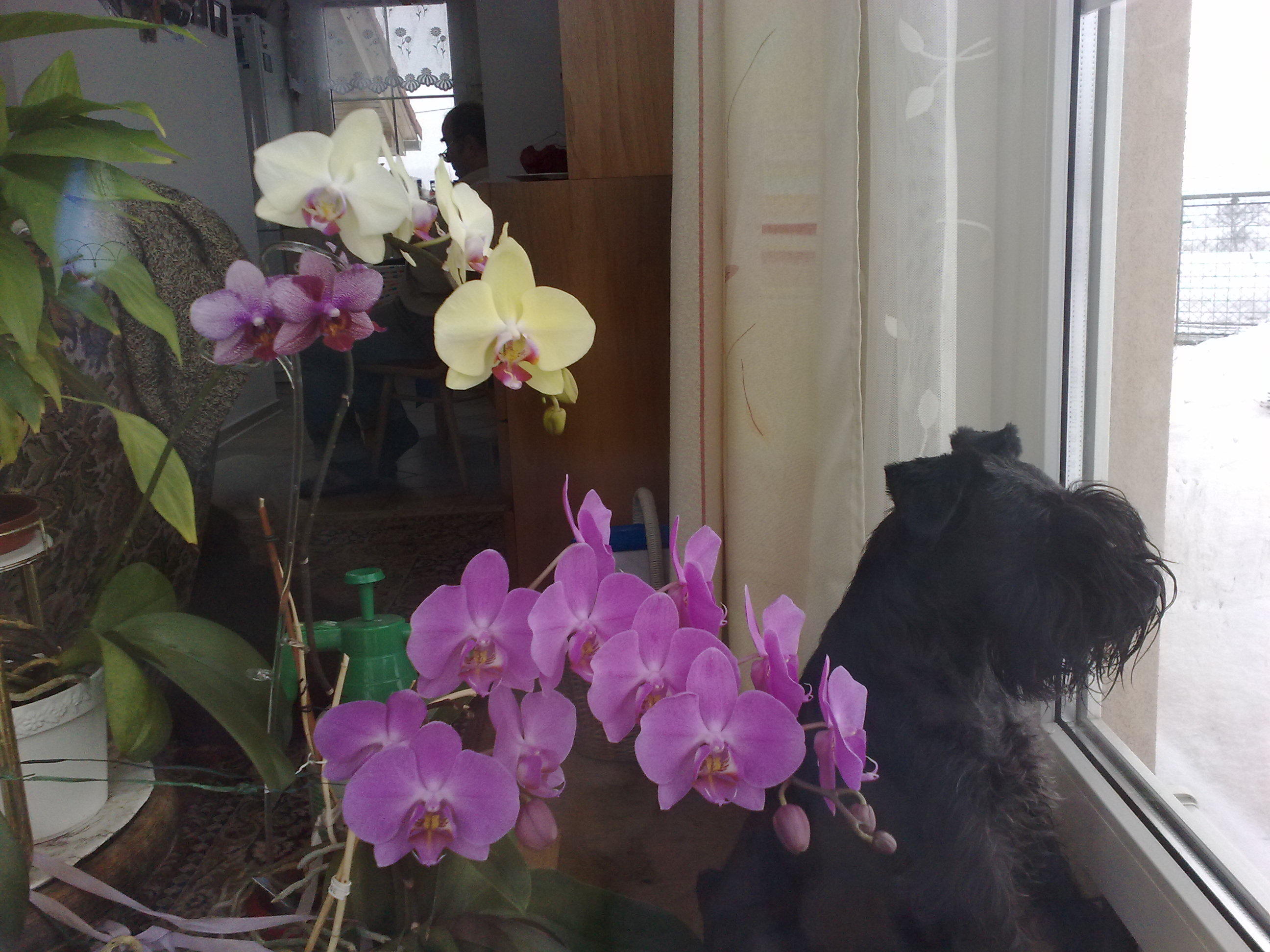 06022010392.jpg