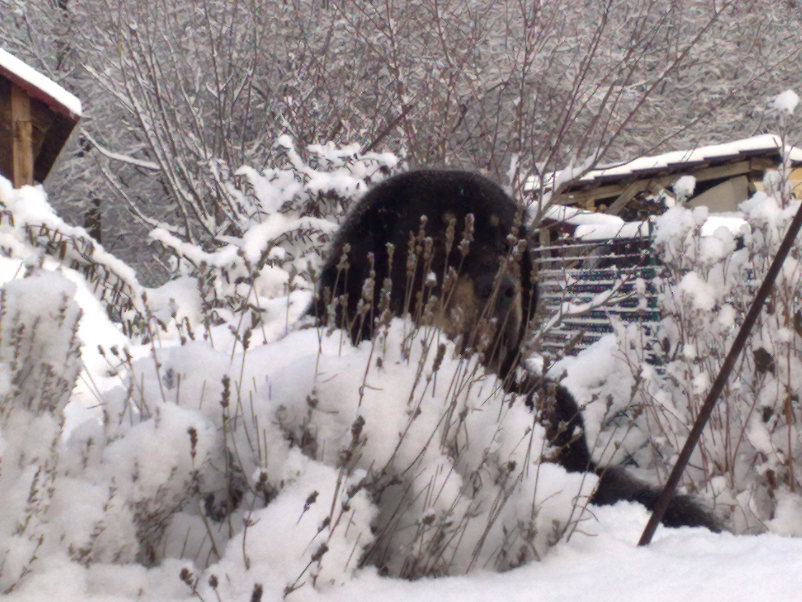 3,3,2011 kopírováno 004